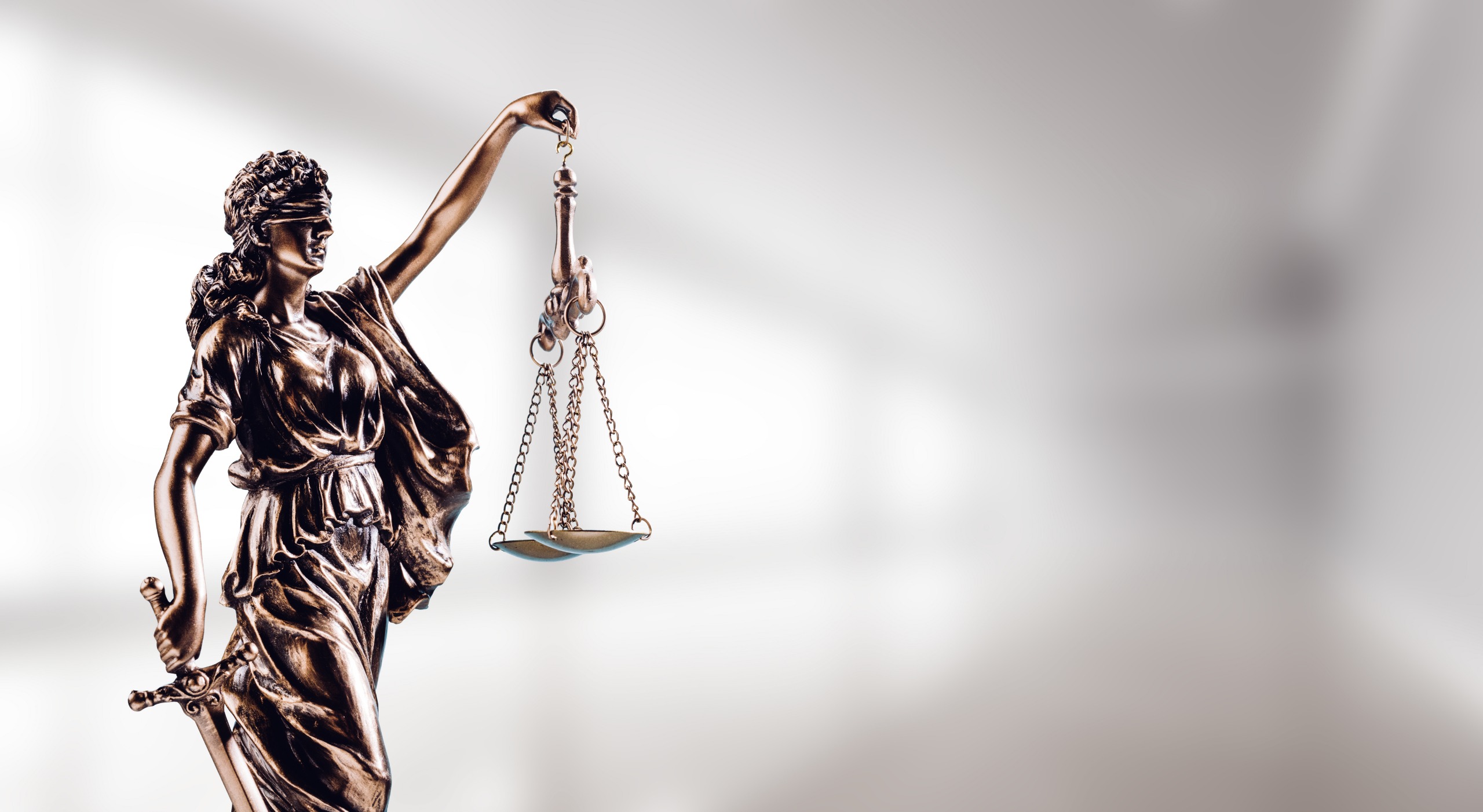 Legal expertise